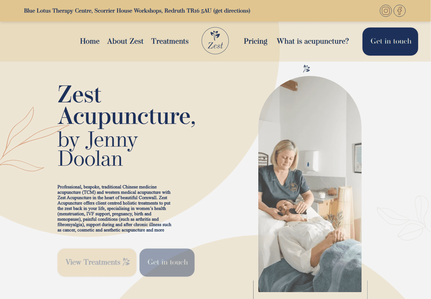 Zest Acupuncture desktop homepage